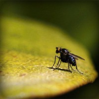 /album/eninemcicons/photolia-a07-jpg/